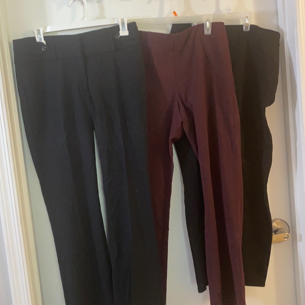 Bundle of 3 professional pantsuit pants!